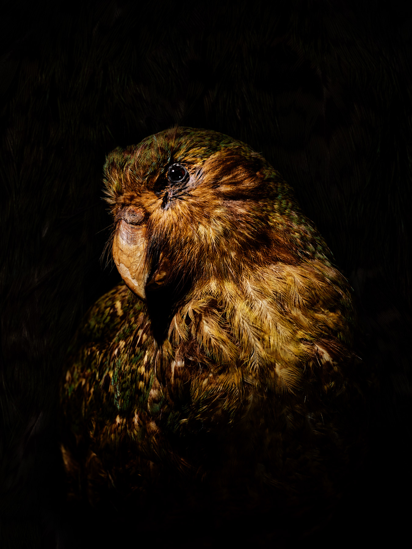 Ikarus No. 16, fine art photograph by Florian W. Mueller