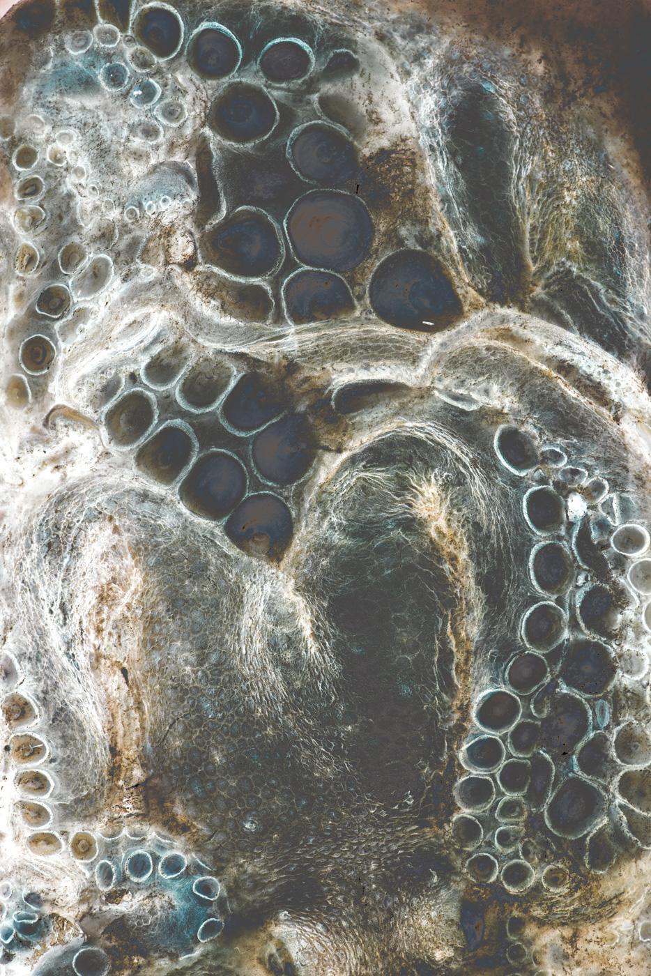Stasis No. 04, fine art photograph by Florian W. Mueller