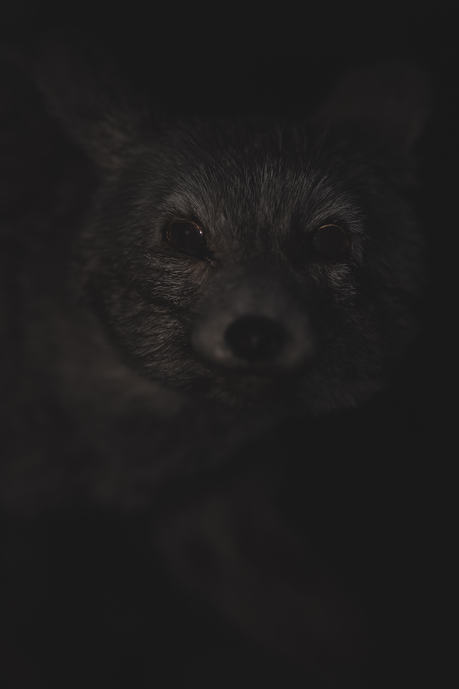 Anima No. 02, fine art photograph by Florian W. Mueller