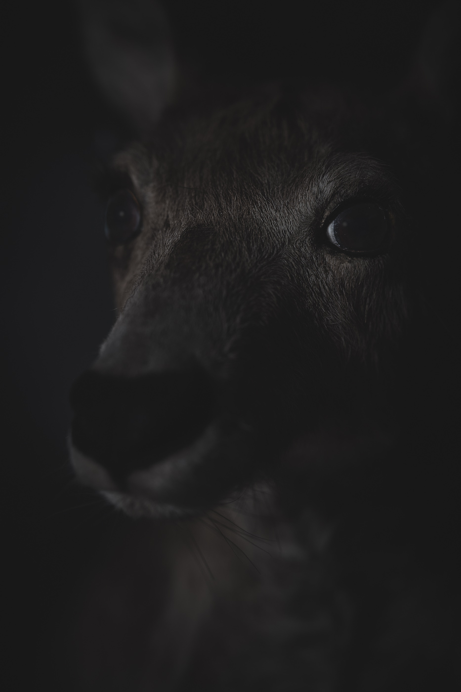 Anima No. 03, fine art photograph by Florian W. Mueller