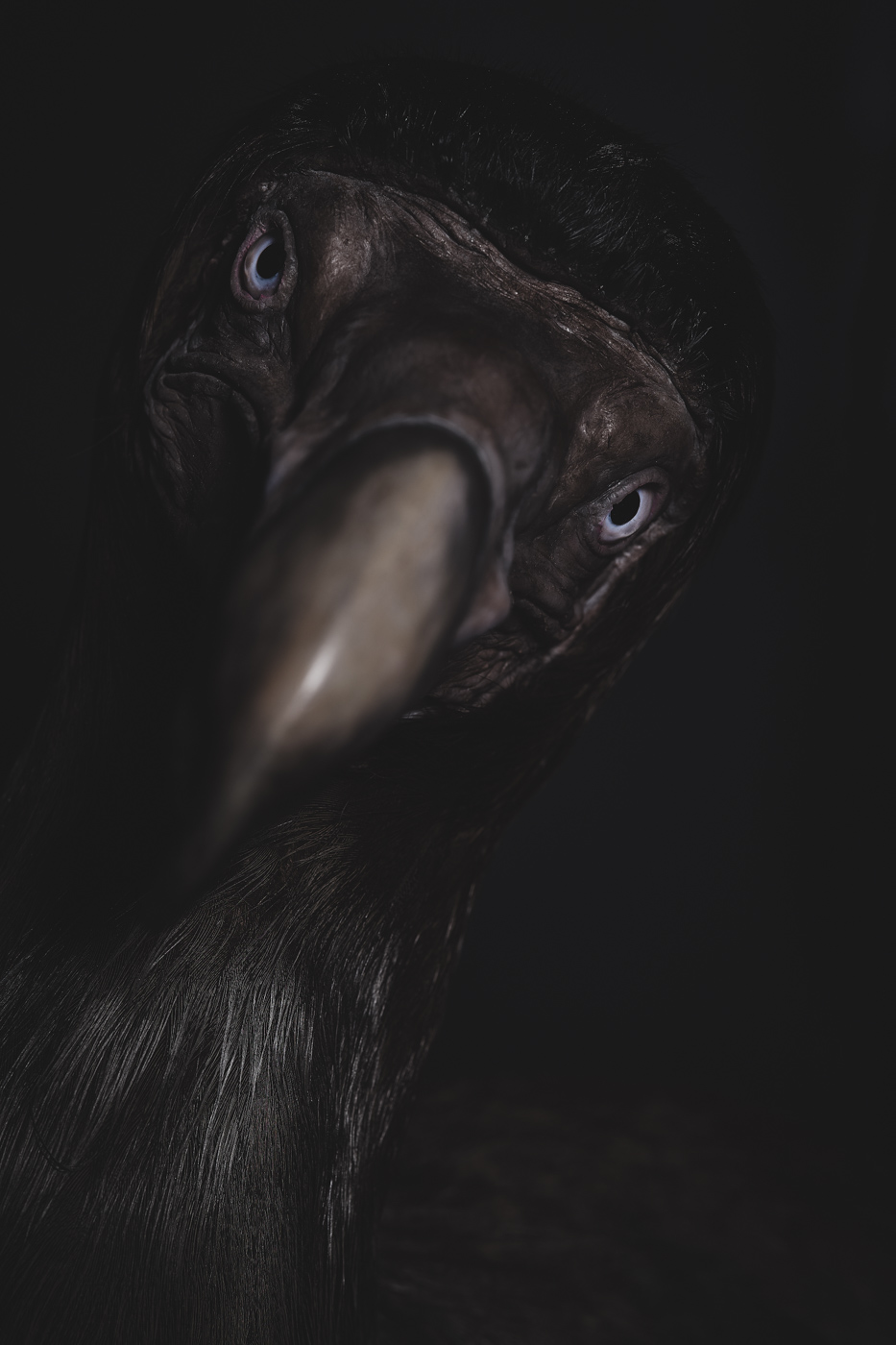 Anima No. 05, fine art photograph by Florian W. Mueller