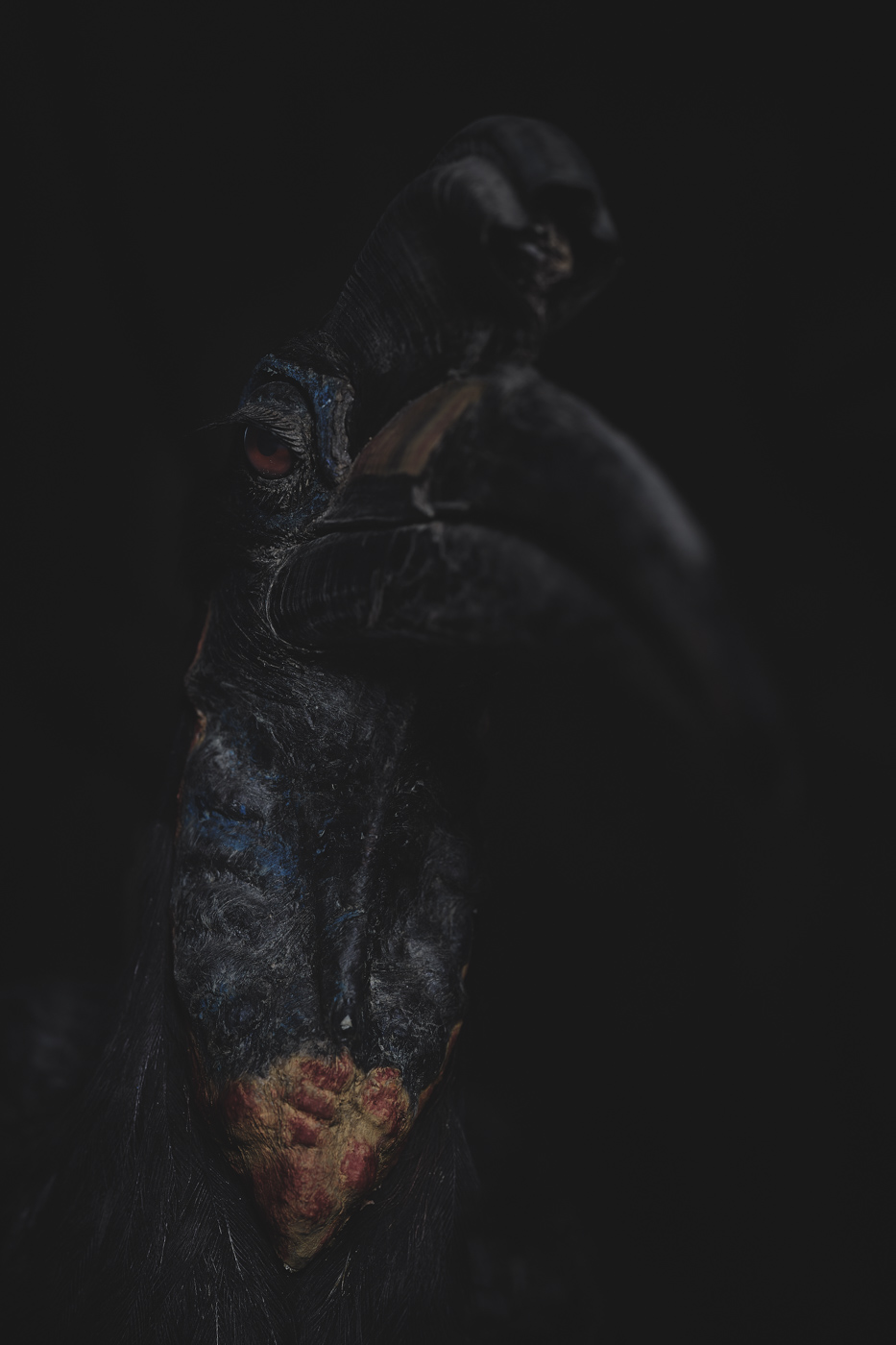 Anima No. 08, fine art photograph by Florian W. Mueller