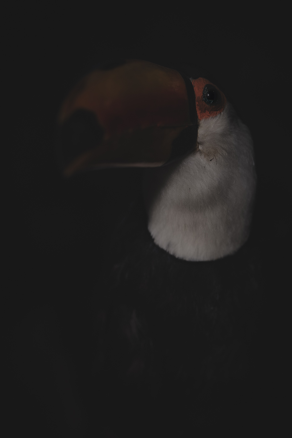 Anima No. 09, fine art photograph by Florian W. Mueller