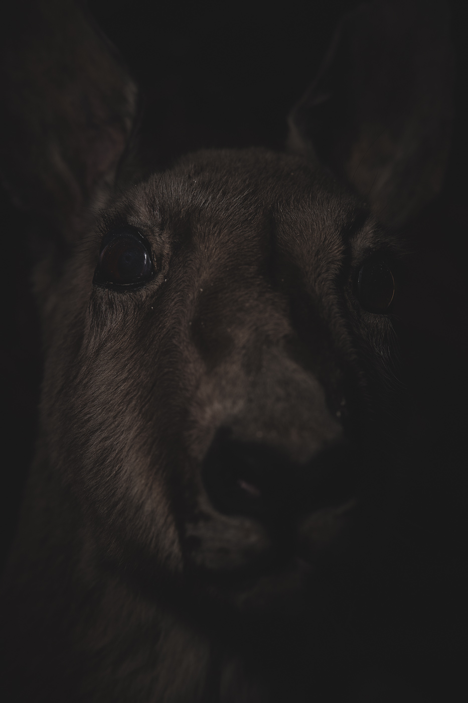 Anima No. 10, fine art photograph by Florian W. Mueller