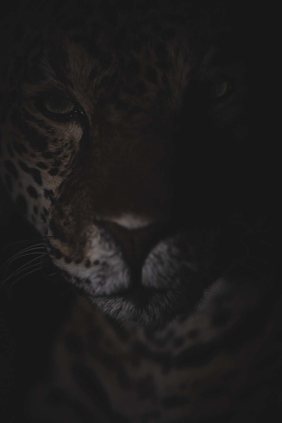 Anima No. 13, fine art photograph by Florian W. Mueller