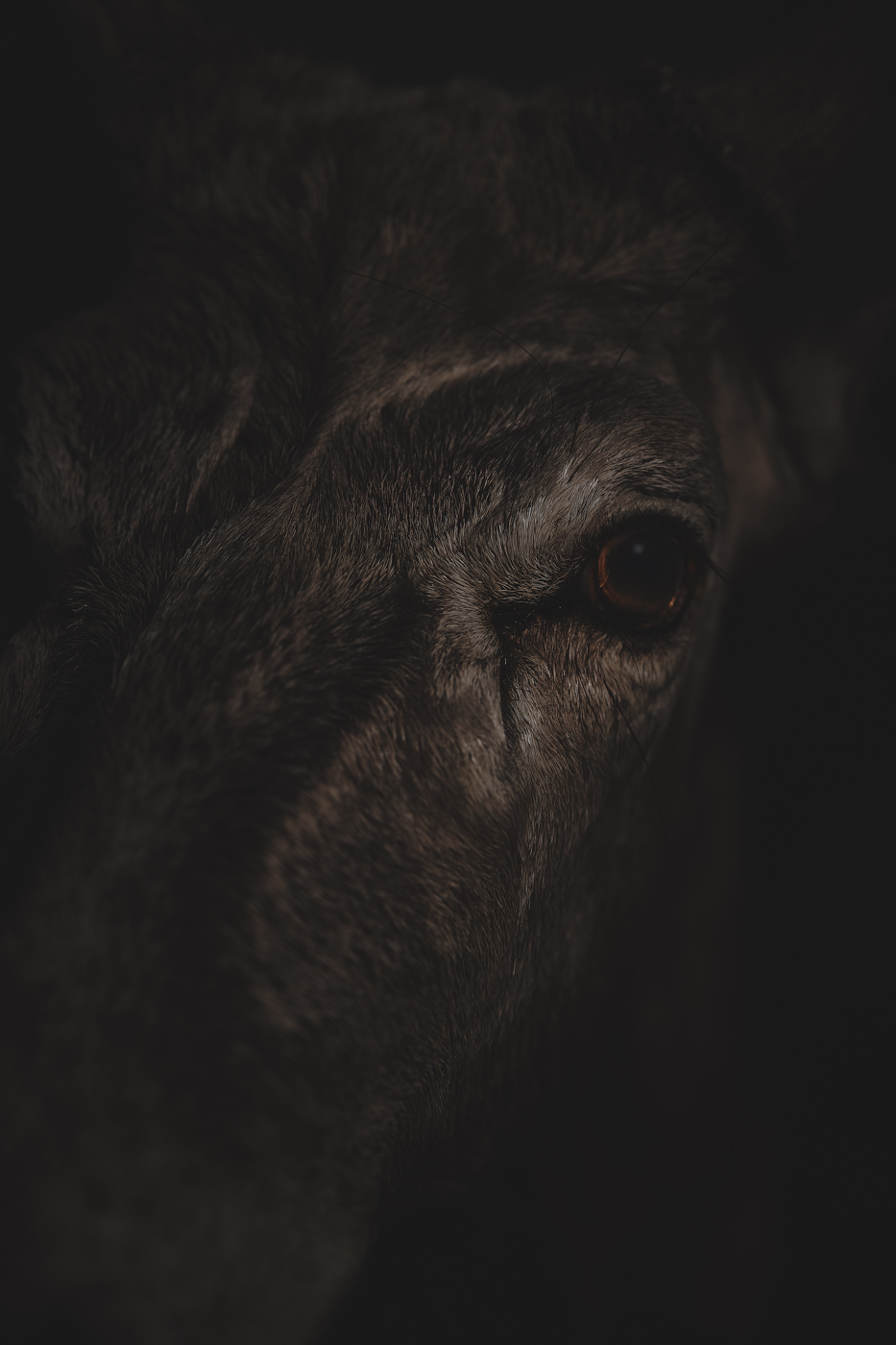Anima No. 15, fine art photograph by Florian W. Mueller