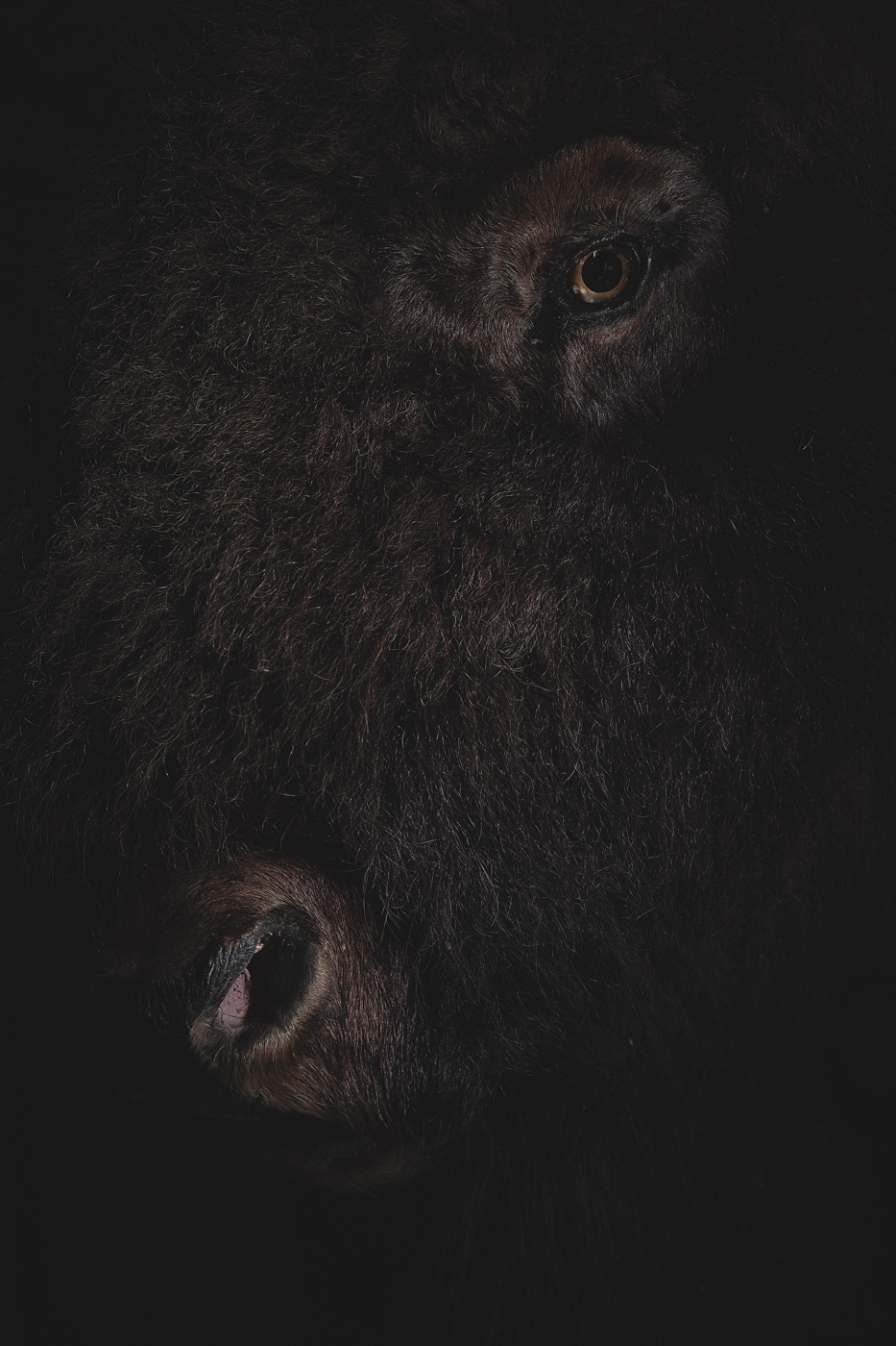 Anima No. 16, fine art photograph by Florian W. Mueller