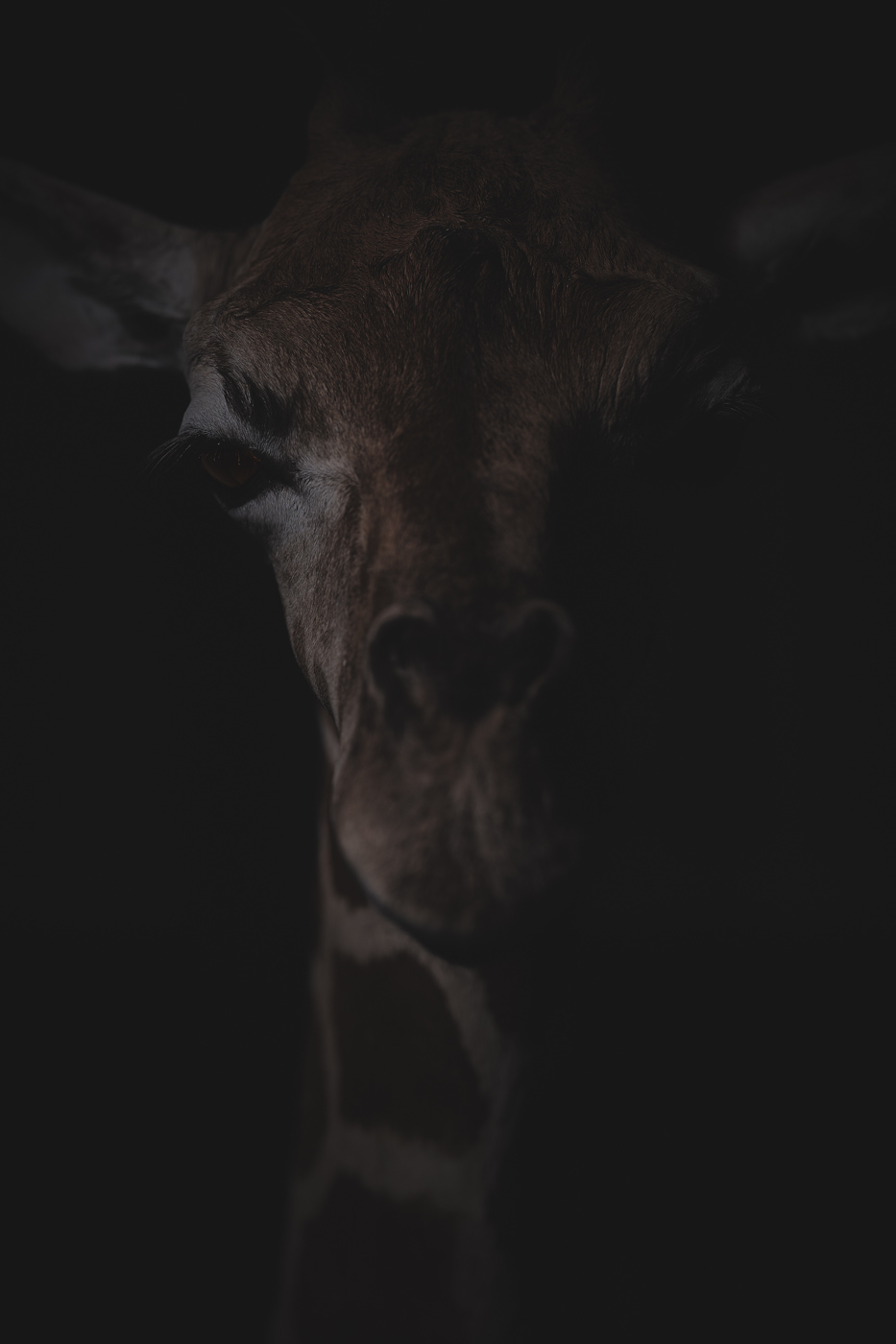 Anima No. 17, fine art photograph by Florian W. Mueller