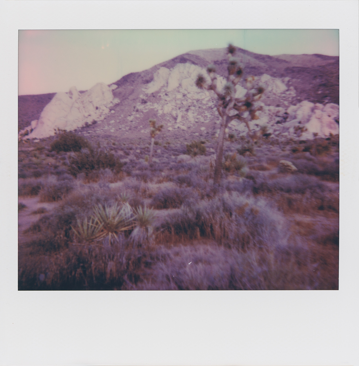 POLAMERICA  Florian W. Mueller  Photography